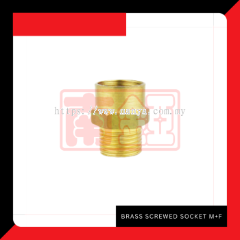 Brass Screwed Socket MF