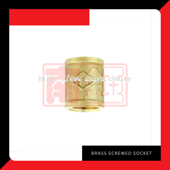 Brass Screwed Socket