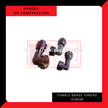 Hansen Female Brass Thread Elbow