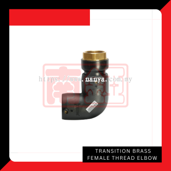 Transition Brass Female Thread Elbow