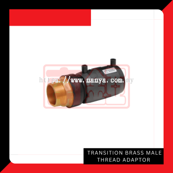 Transition Brass Male Thread Adaptor