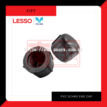 PVC SCH80 End Cap (Fipt)