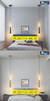 PL2817