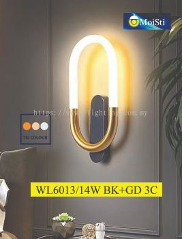 WL6013
