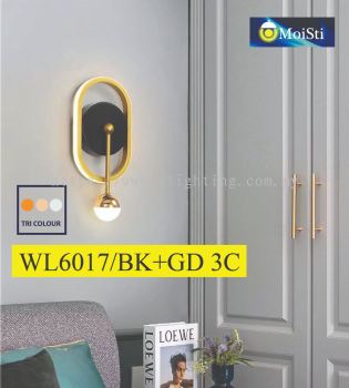 WL6017 BK+GD