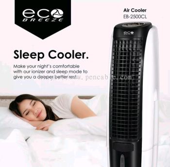 Evaporative Air Cooler (Indoor)