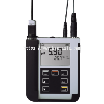 PORTAVO 902 THE BASIC VERSION FOR MEASURING PH, ORP OR CONDUCTIVITY