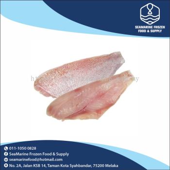 Red Snapper Fillet 300-400G