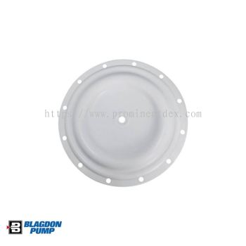 Replacement Part 1B039 Diaphragm, PTFE for Blagdon Pump