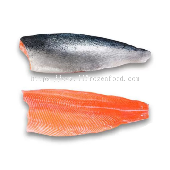 Frozen Salmon Fillet