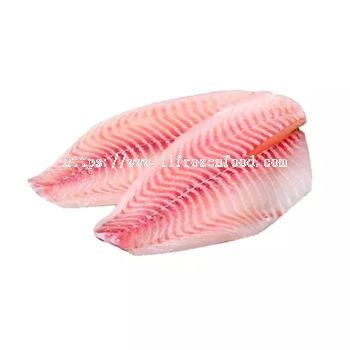 Frozen Tilapia Fillet