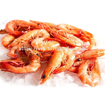 Cooked Tiger Prawn