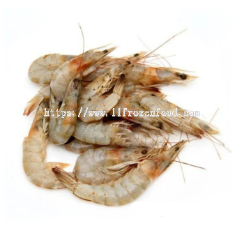 Frozen Whole Sea Prawn