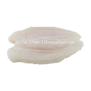 Premium Dory Fish Fillet