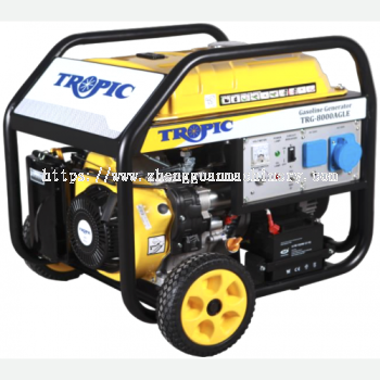 8KW GASOLINE GENERATOR TRG-8000AGLE 