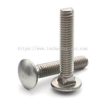 S/S 304 DIN 603 Carriage Bolt