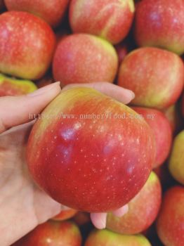 South Africa Red Apple 1pcs