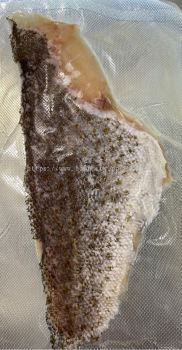KERAPU FISH 0.370KG 