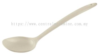 Cake Spoon