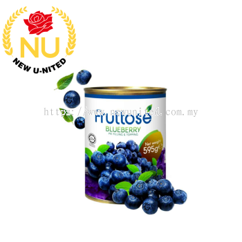 Fruttose Blueberry  Pie Filling & Topping