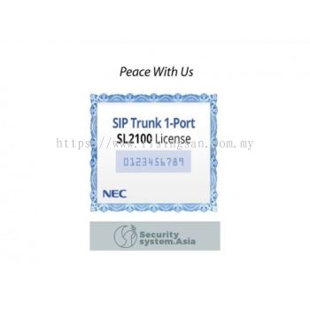 NEC IP TRUNK LICENSE