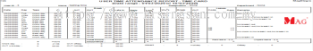 Mag USer Time Attendance Record - Time Card