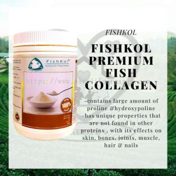(FishKol) Premium Fish Collagen Powder 300g 㽺ԭ׷