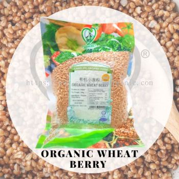 Organic Wheat Berry 有机小麦粒 (Carelife) 500g