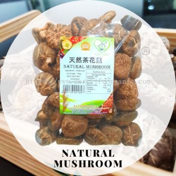 Natural Mushroom ��Ȼ�軨�� (Carelife) 300g