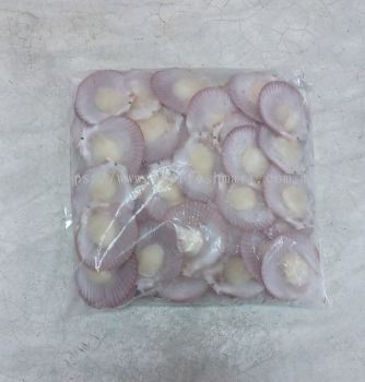 Half Shell Brown Scallop 500g 50-60 Pc Perpack