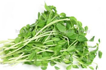 Pea Sprout Approx.200g