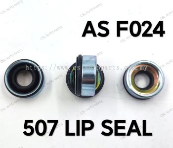 AS F024 507 Lip Seal