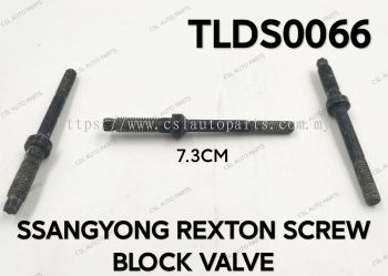 TLDS0066 Ssangyong Rexton Screw Block Valve