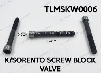 TLMSKW0006 K/Sorento Screw Block Valve 