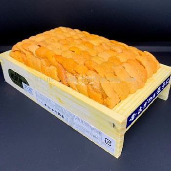 UNI Sea Urchin 300g 下うに