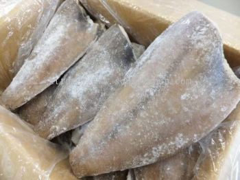 FZN Halibut Fillet A カラスガレイドレス