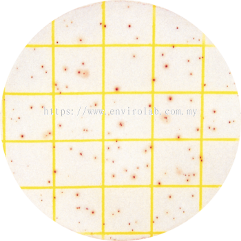 Microbiology Rapid Test