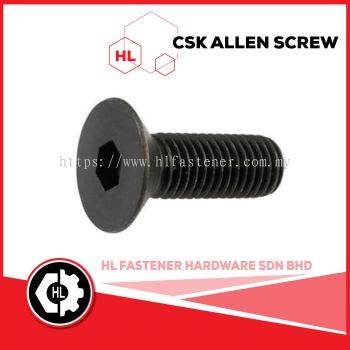 CSK ALLEN SCREW