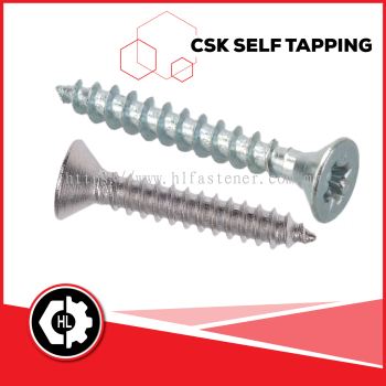CSK SELF TAPPING