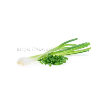 Spring Onion