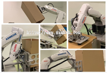 Robotic Carton Forming 