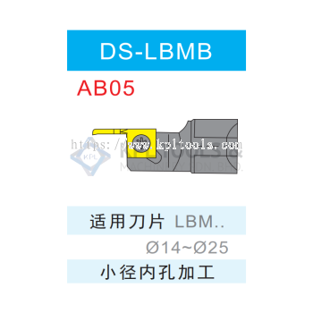 DS-LBMB