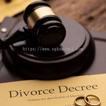 Divorce Child Custody Alimony Division of Matrimonial Asset Adultery Claim  Ӹ  ʲ ͨ