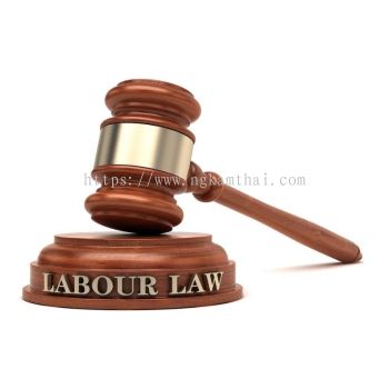 Labour Law & Employment Dispute 劳工法与雇佣纠纷