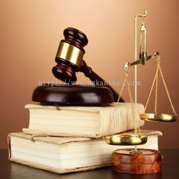 Civil Litigation & Court Cases 民事诉讼和法庭案件