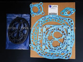 6D43172 Gasket Set