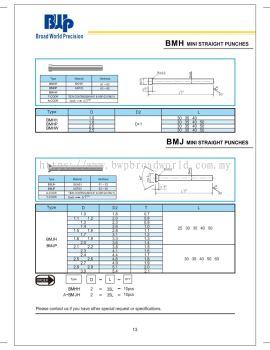 BMJ Mini Straight Punches