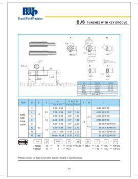 BJS Punches with key groove