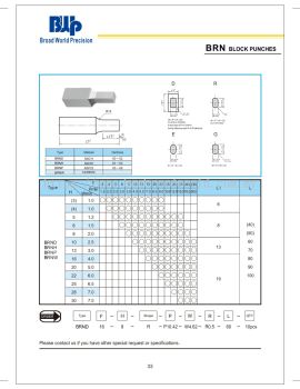 BRN Block Punches