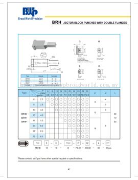 BRH Jector Block Punches with double flanged